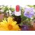 Egyéni Bach virágeszencia keverék 30ml