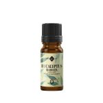 Mayam Eucaliptusz Radiata 100%  illóolaj 10ml