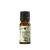 Mayam Eucaliptusz Radiata 100%  illóolaj 10ml