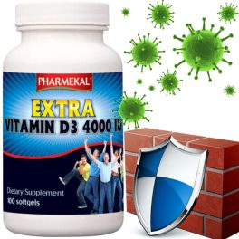 D3-VITAMIN 4000 NE (4000 IU) 100 DB