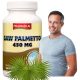 Fűrészpálma 450 MG 100 db (Szabalpálma, Törpepálma)