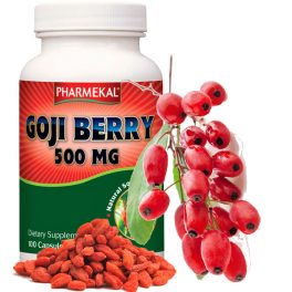 Goji Berry (Lícium, Farkasbogyó) 500 mg 100 db