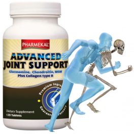   ADVANCED JOINT SUPPORT, PORC ÉS ÍZÜLETVÉDŐ - Glükozamin-Kondroitin-MSM-Kollgen 120db