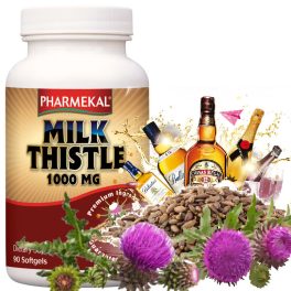 Máriatövis 1000 MG 90db